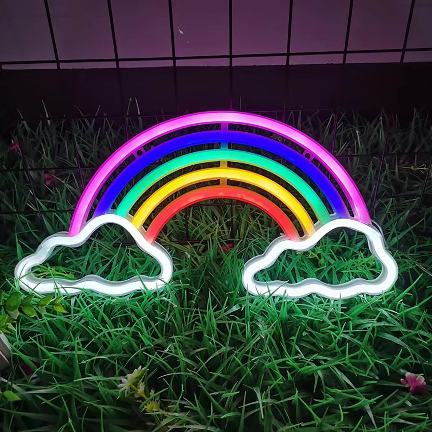 Néon arc-en-ciel LED