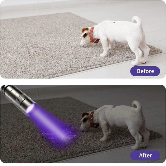 Lampe torche ultraviolette